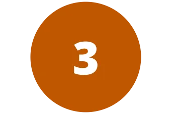 burnt orange circle with 3 in the center