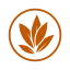 UT Sage Icon